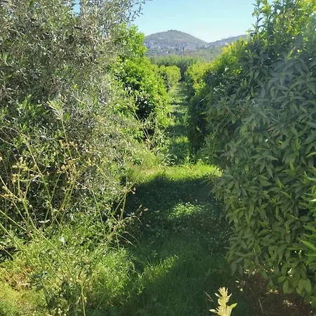 El Rancho Kidheri
