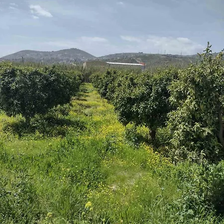 El Rancho Kidheri فندق Vrion